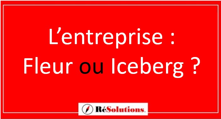 La réalité de l'organisation est complexe. Interdit elle à l'entrepreneur de décider et d'agir ?